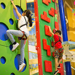 Climbing Wall VII